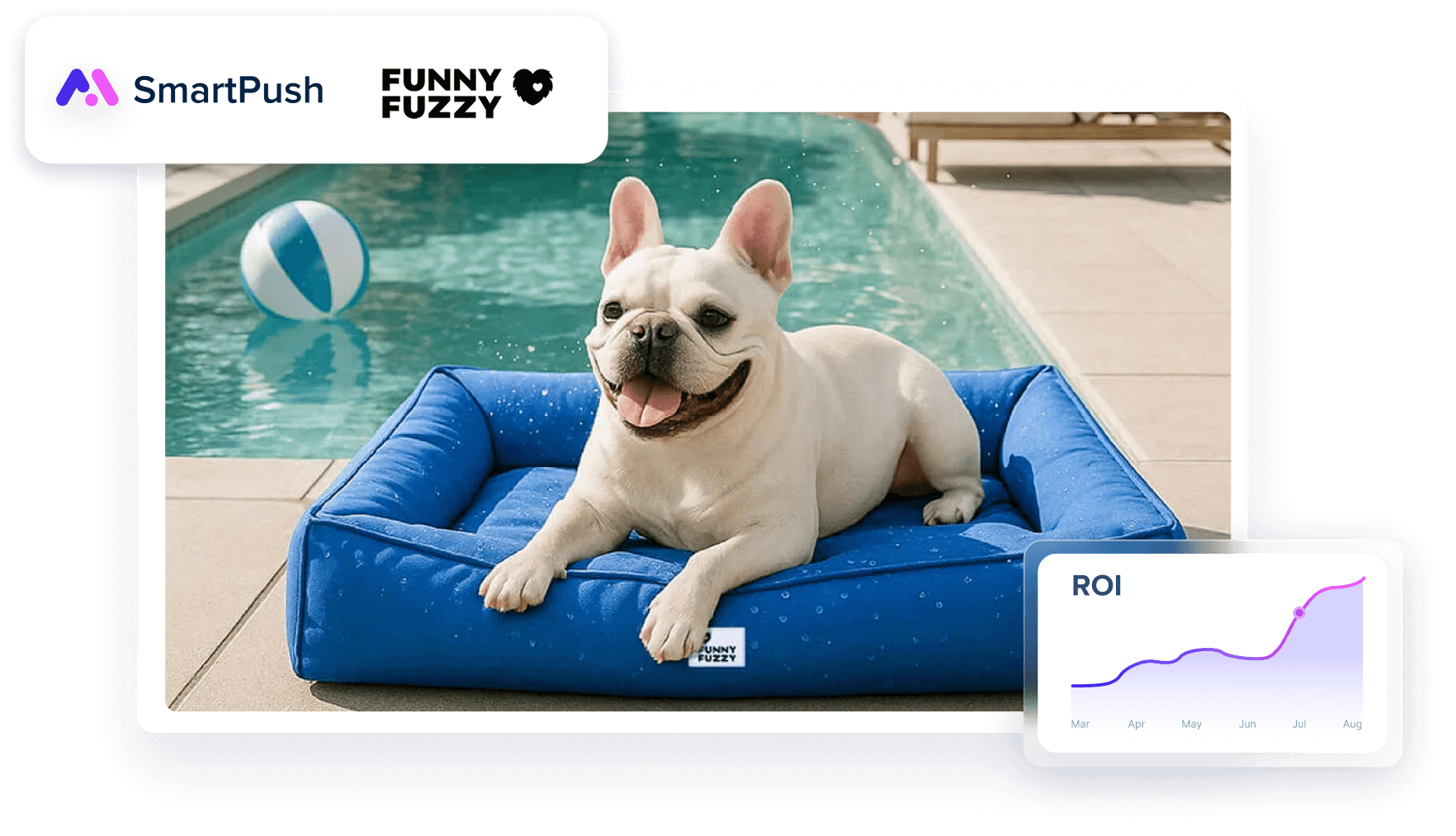 smartpush case study&funnyfuzzyuk