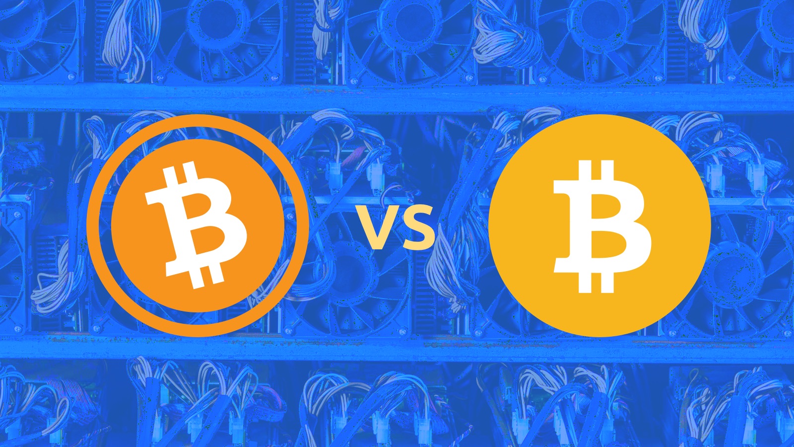 BSV vs BCH: YouHodler Always Puts Our Clients First