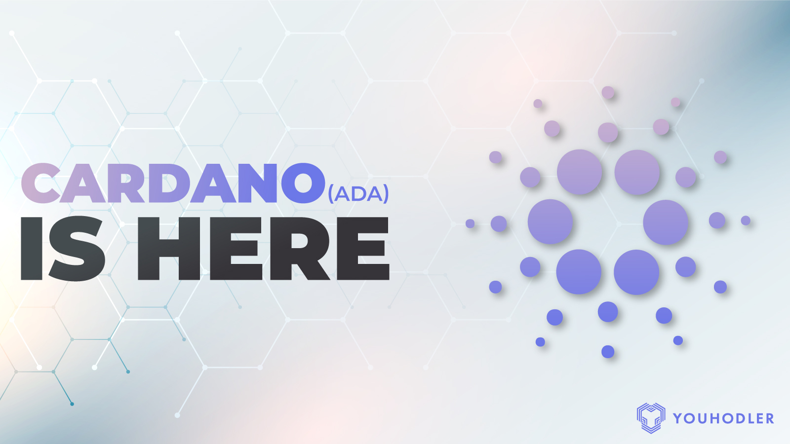 A digital image says the text "cardano is here"