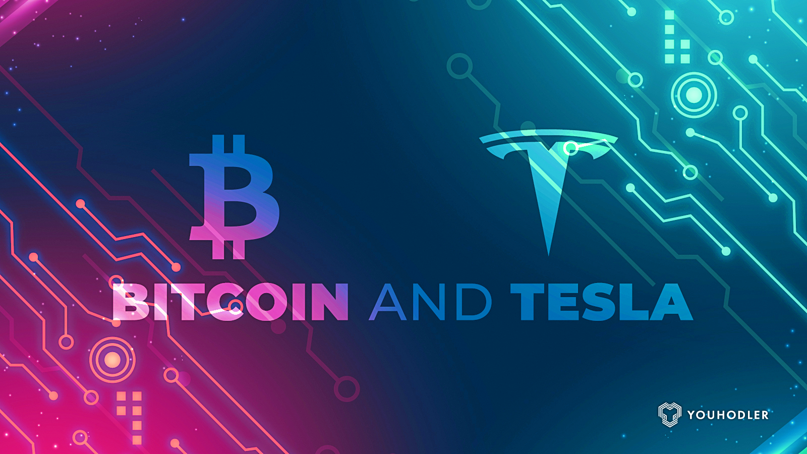 The Tesla Bitcoin Correlation: What Sparked it?