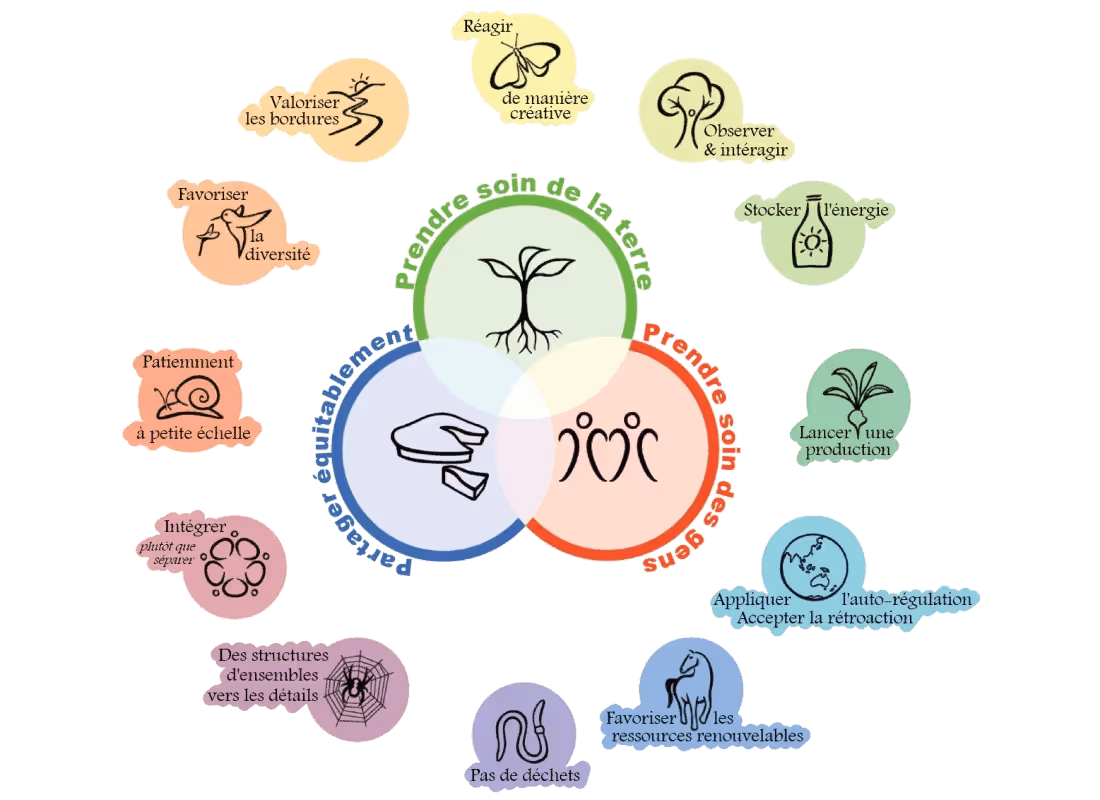 Roue des principes de la permaculture