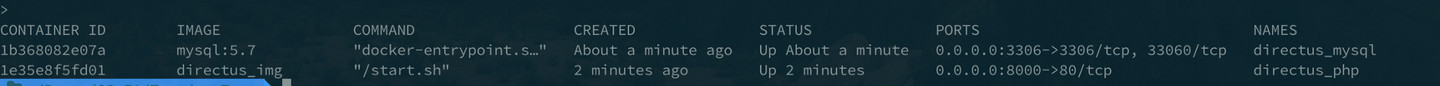 Result of `docker ps`