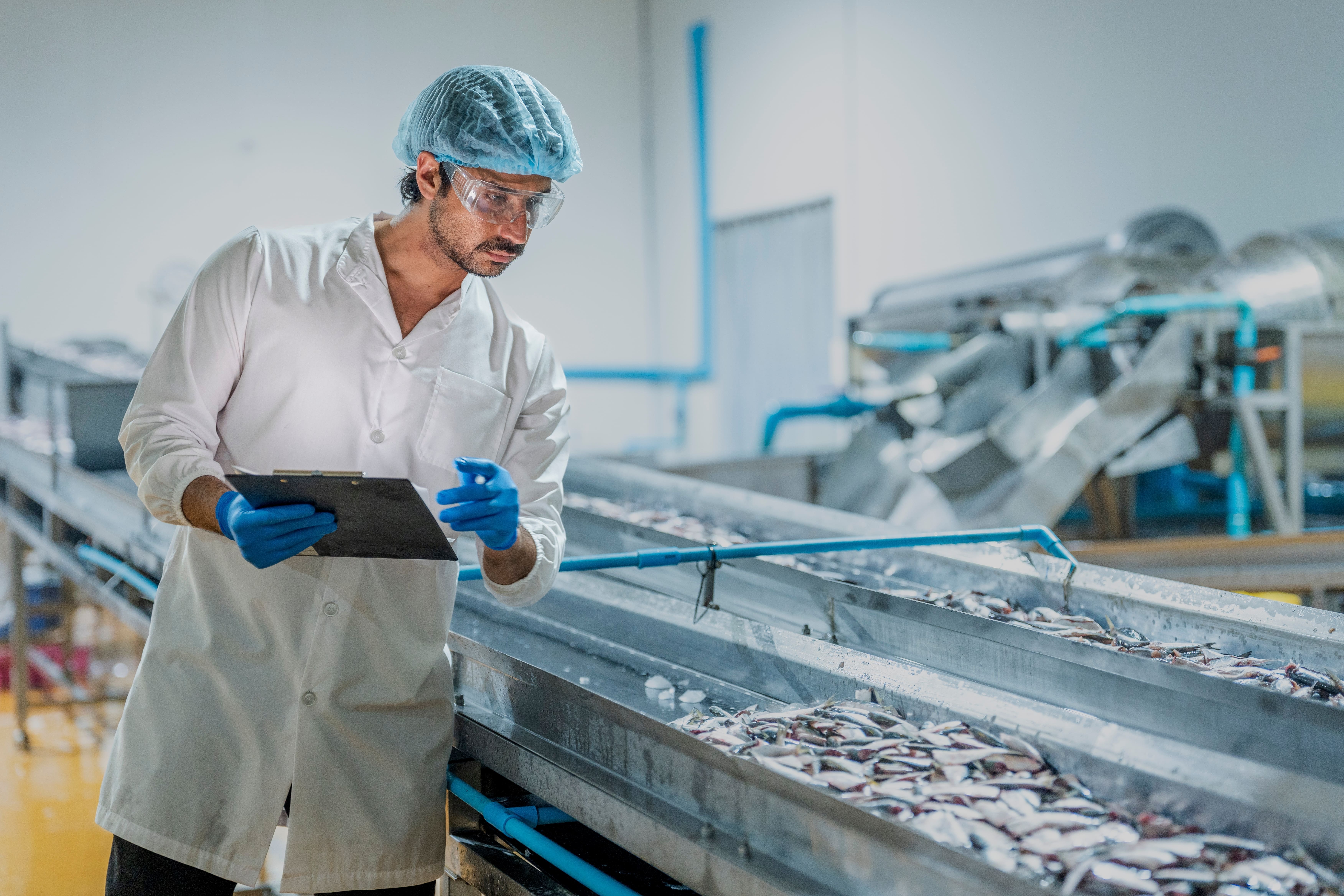 Homme travaillant dans une usine de transformation de poisson dans le secteur agroalimentaire.
