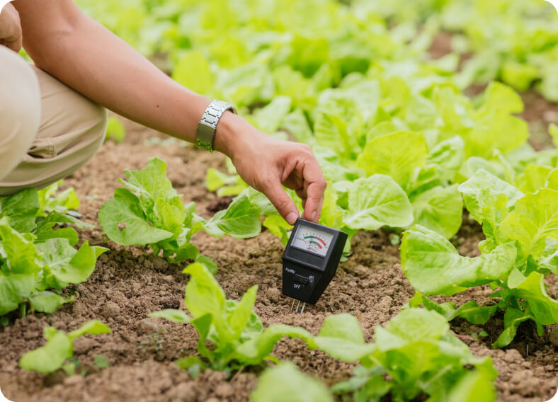 Close-up of a woman's hand taking measures and getting data from a farm soil.