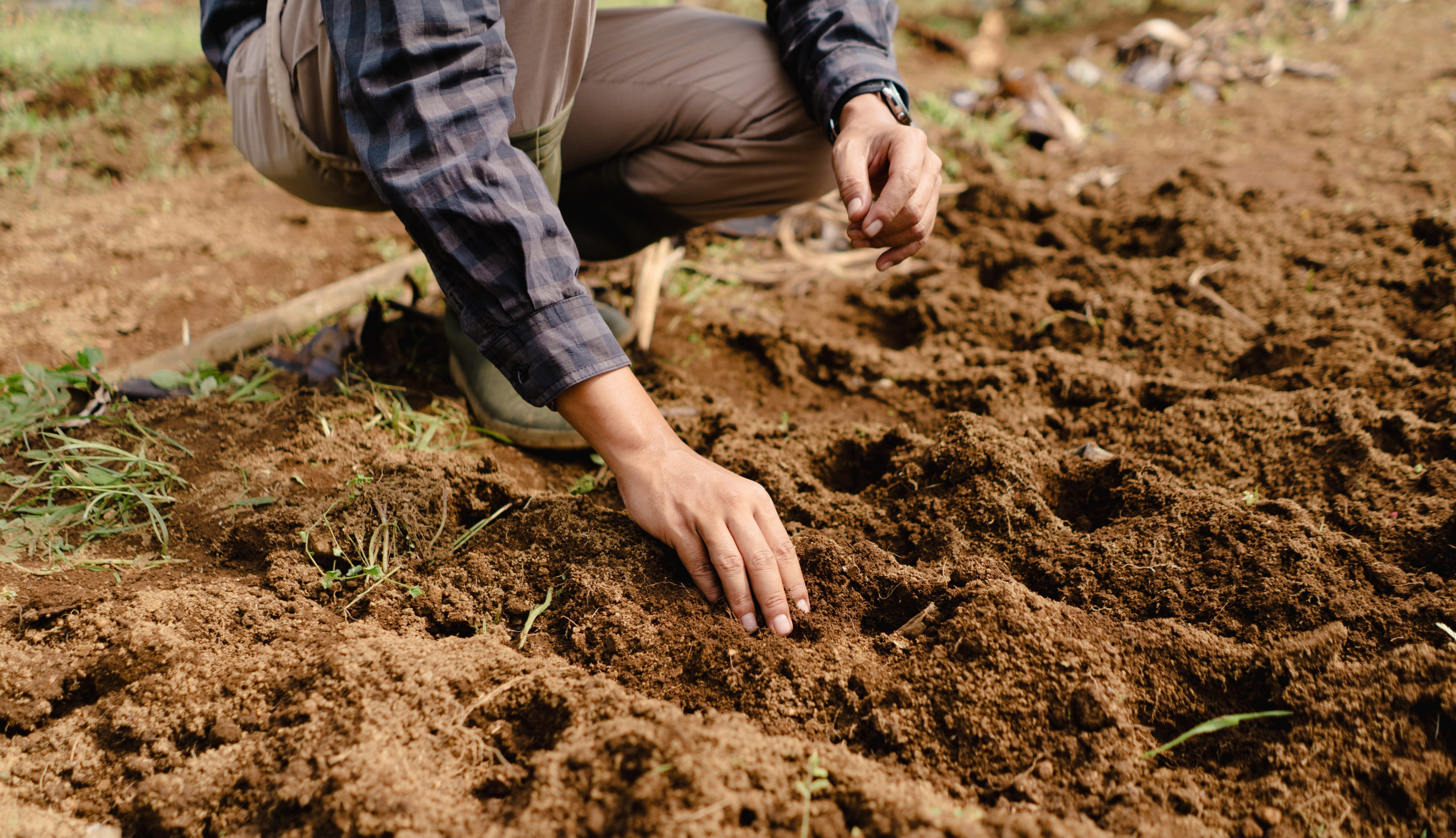 Close-up of a man's hands working the soil in a field