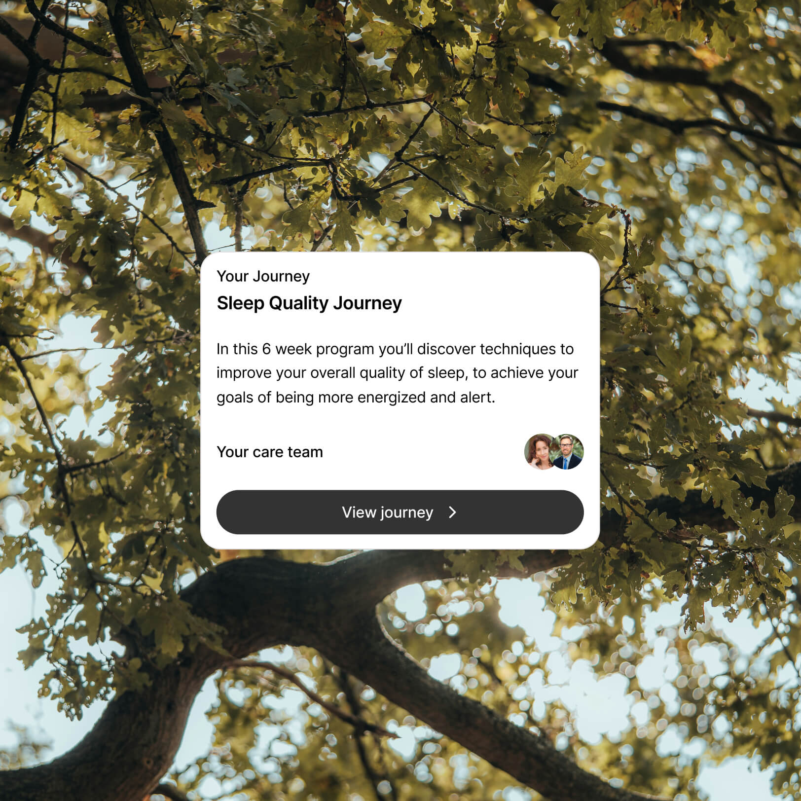 Onix app notification displayed against a sunlit forest background, illustrating personalized AI-powered wellness support.
