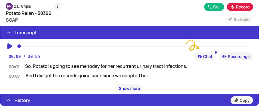 Chat with transcript