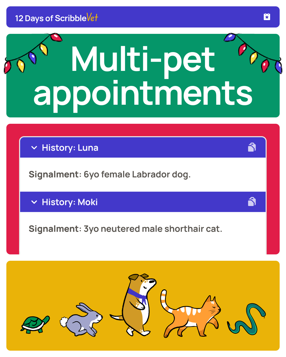 Multipet appointment