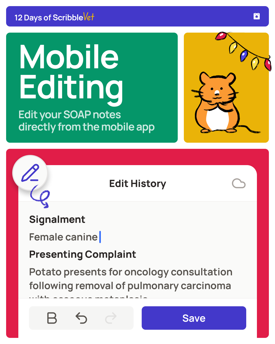 Mobile app editing