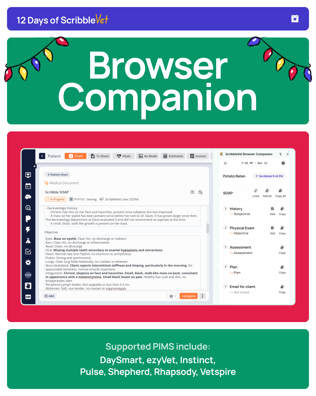 Browser companion