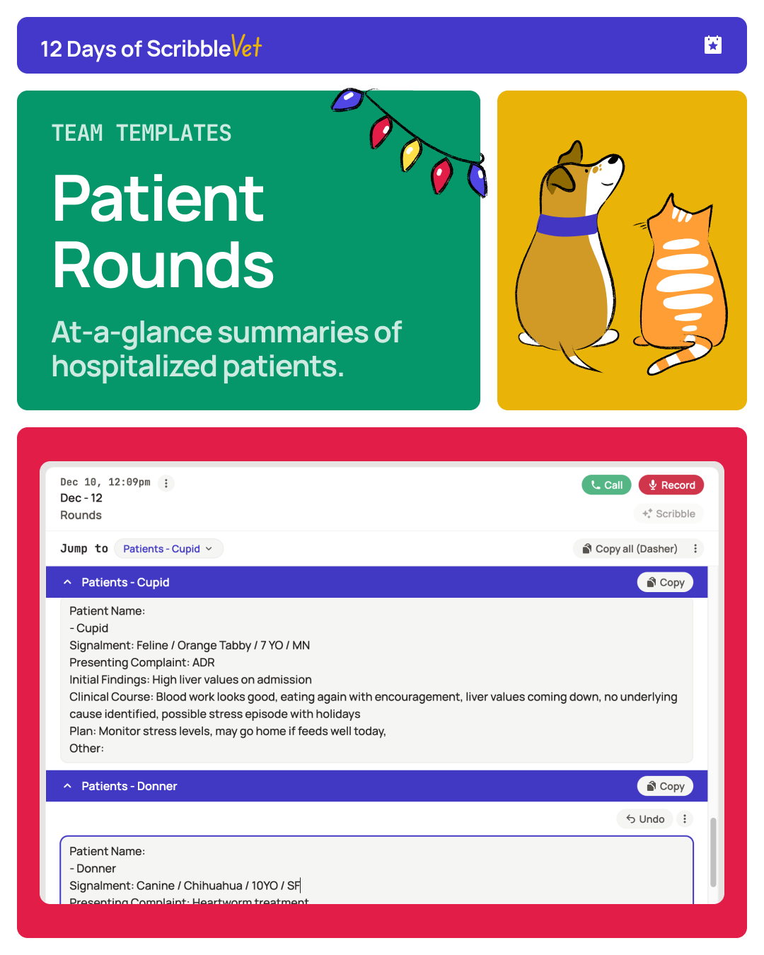 Patient rounds
