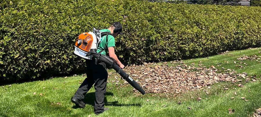 Green Guy Lawn Care team member doing blowing out dead leaves on a customer's lawn.