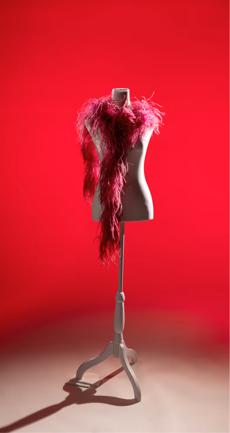 Feather Boa Worn by Janis Joplin, MOPOP Permanent Collection, c. 1970