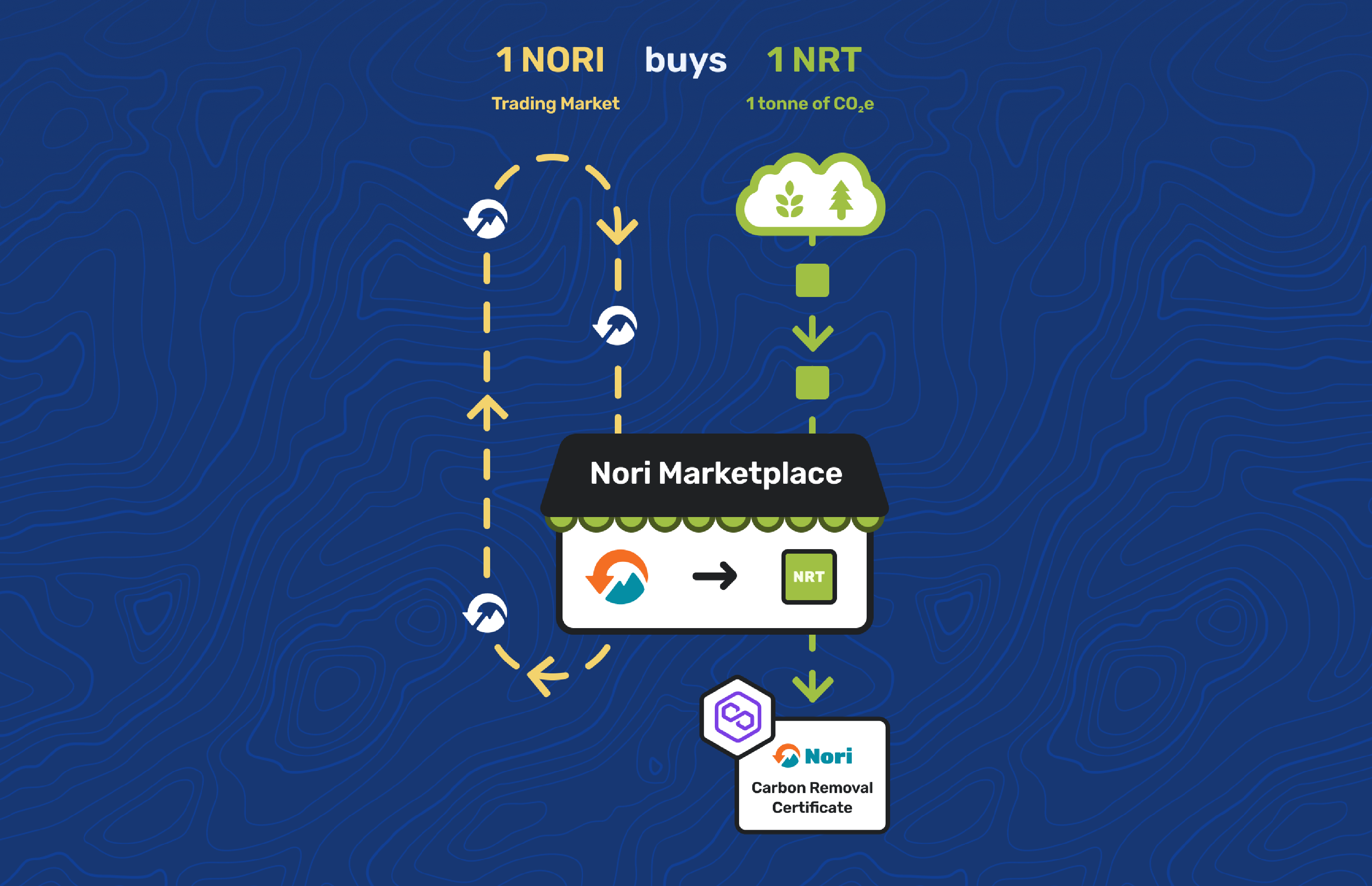 Nori tokenomics