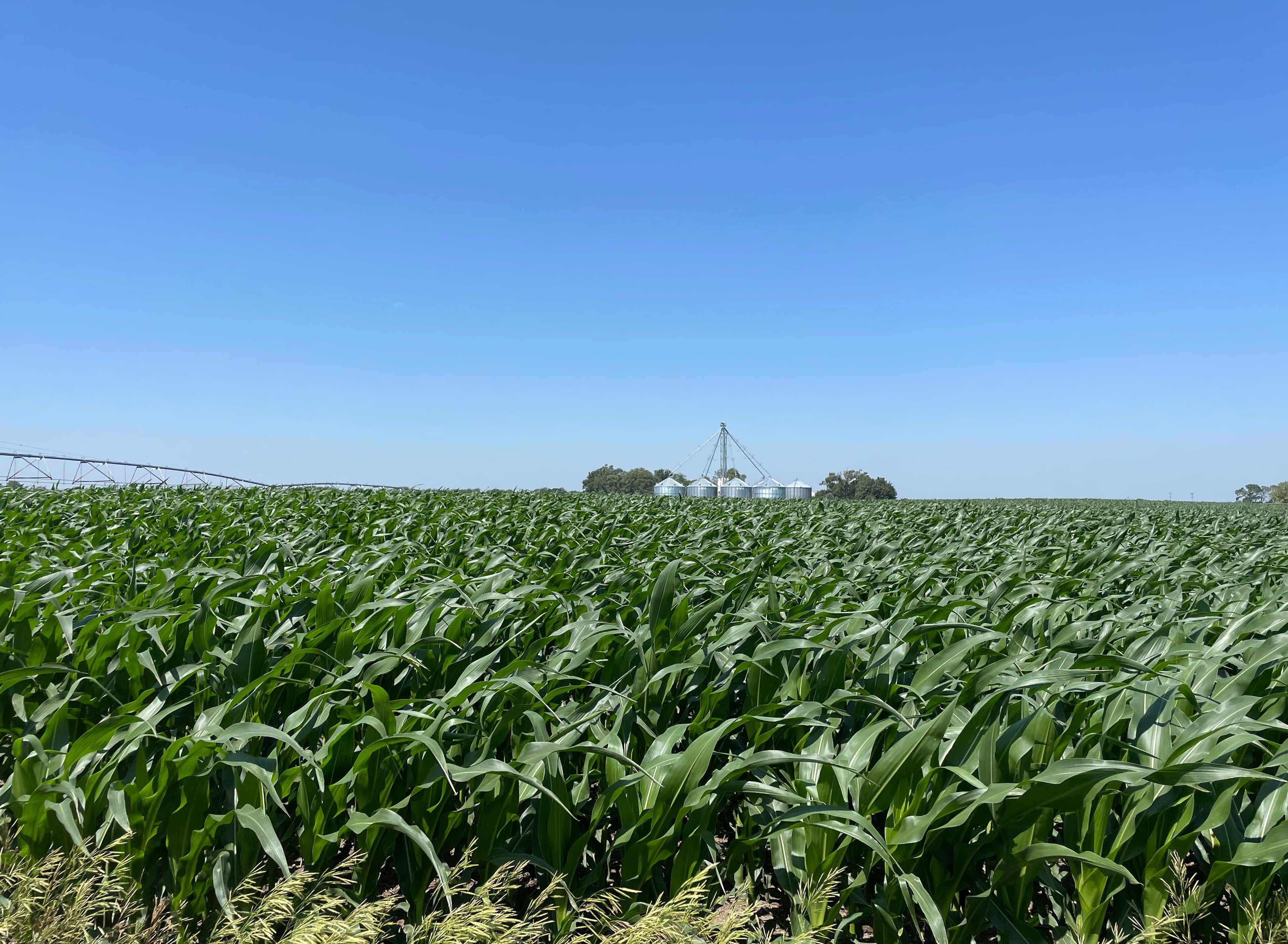 Nori Nebraska trip - Nori farmland