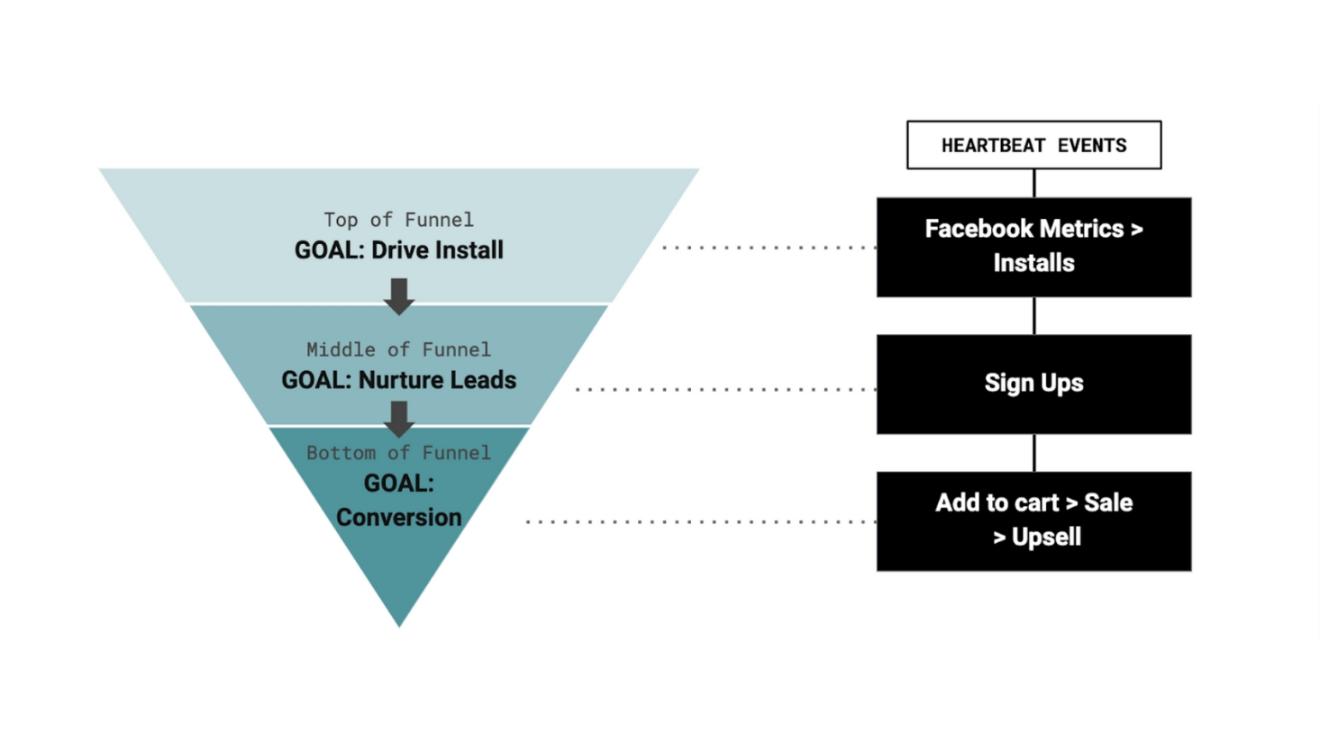 facebook marketing program