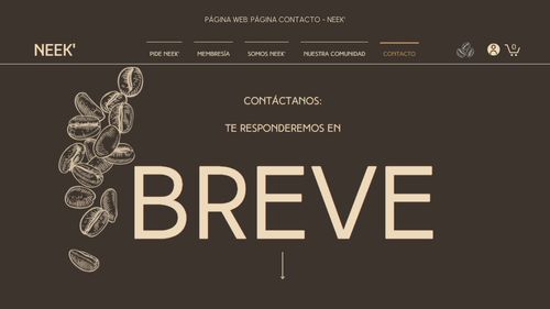 Screenshot de la página web de NEEK'