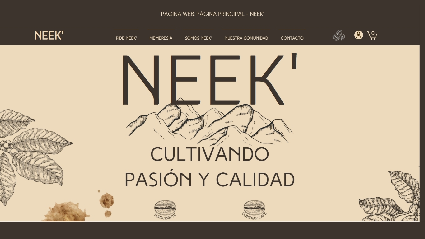 Screenshot de la página web de NEEK'