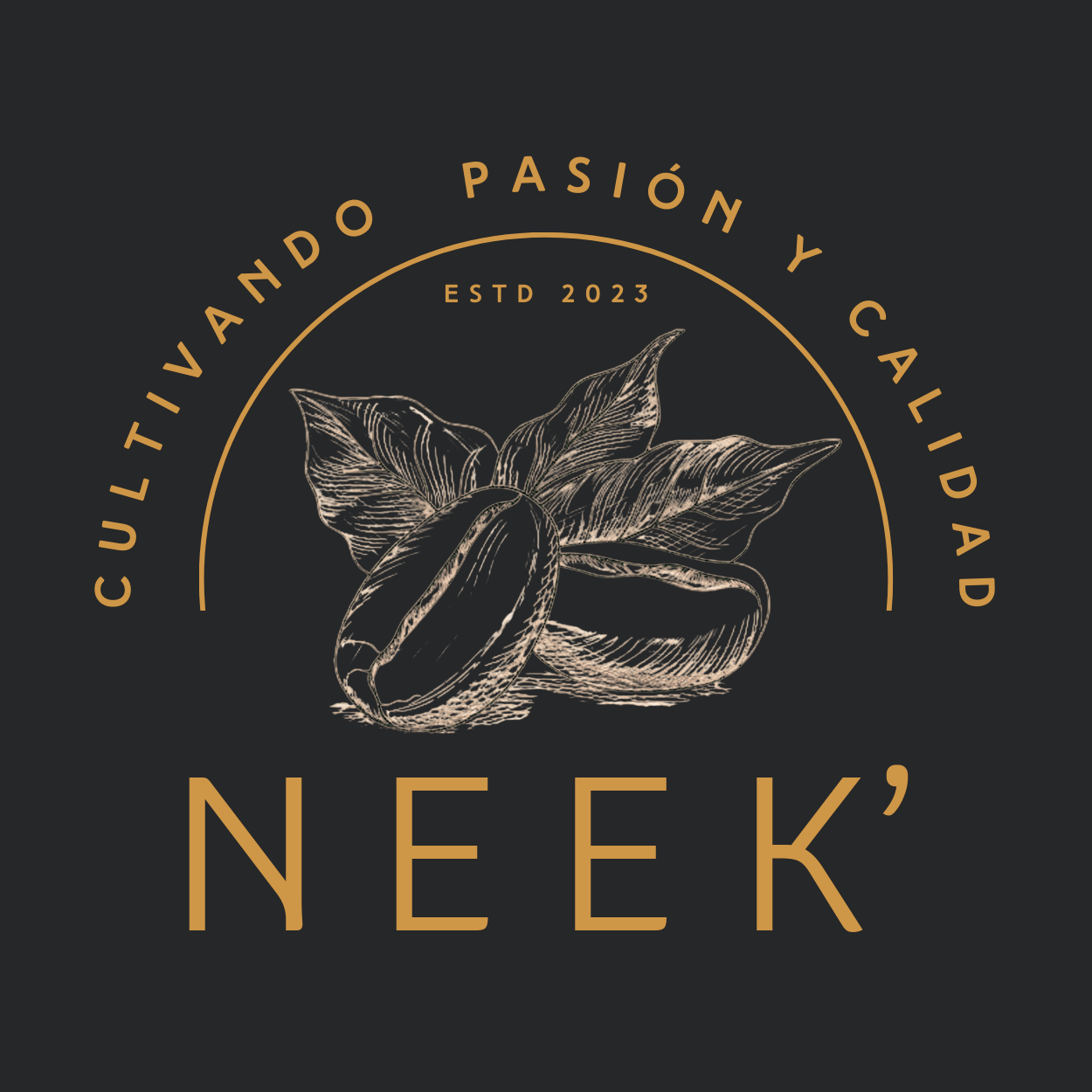 Creación de contenido - Logos
