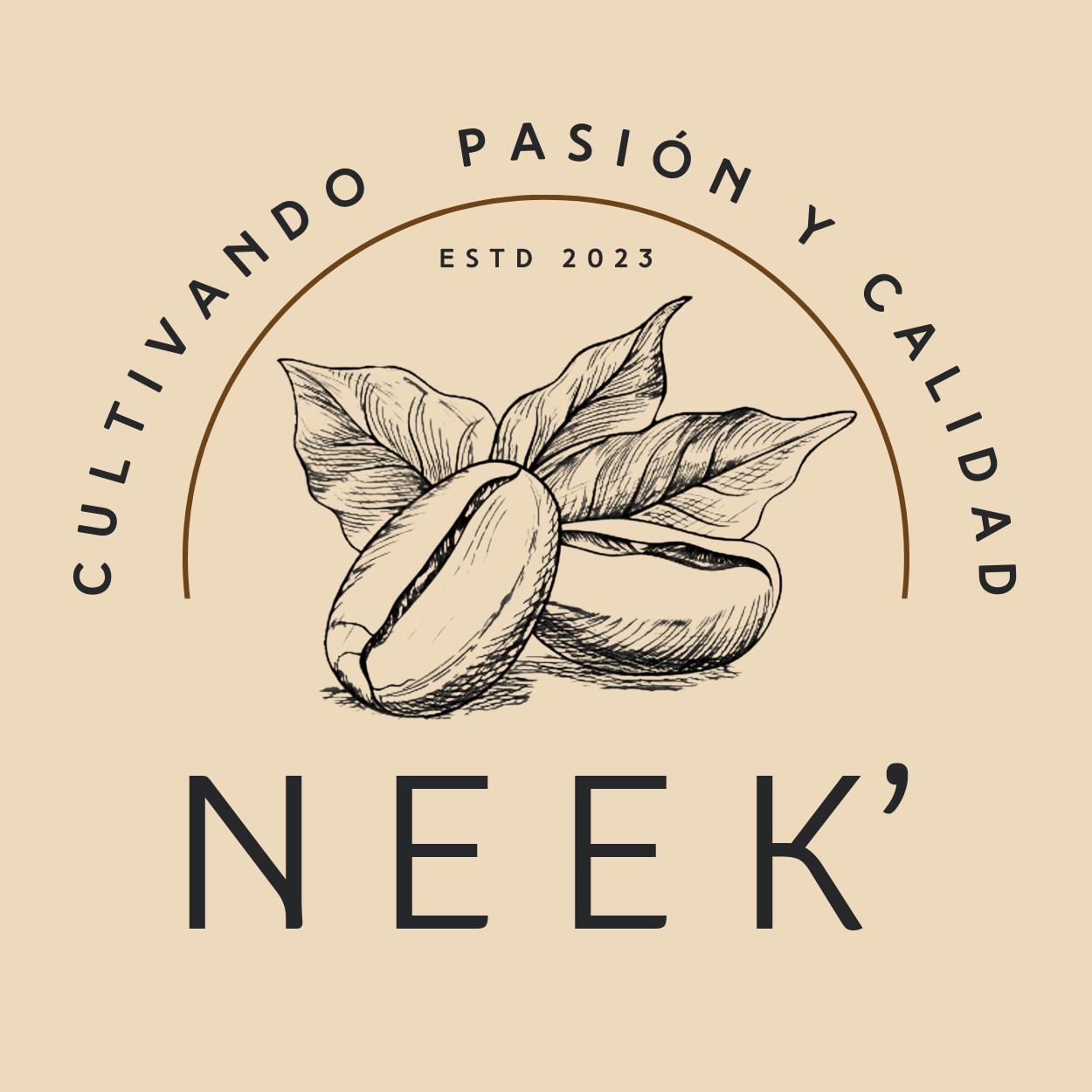 Creación de contenido - Logos