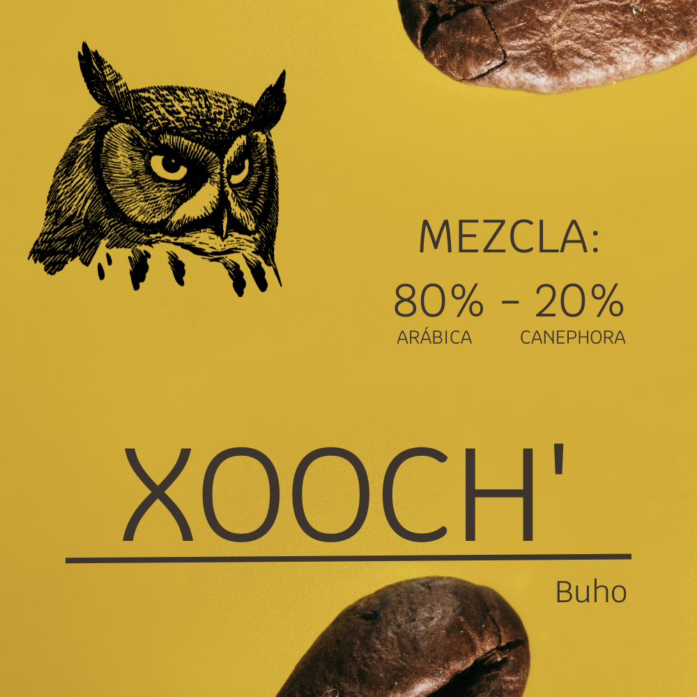 Creación de contenido - Logos
