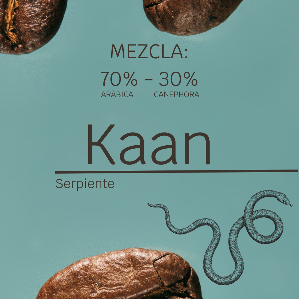 Creación de contenido - Logos