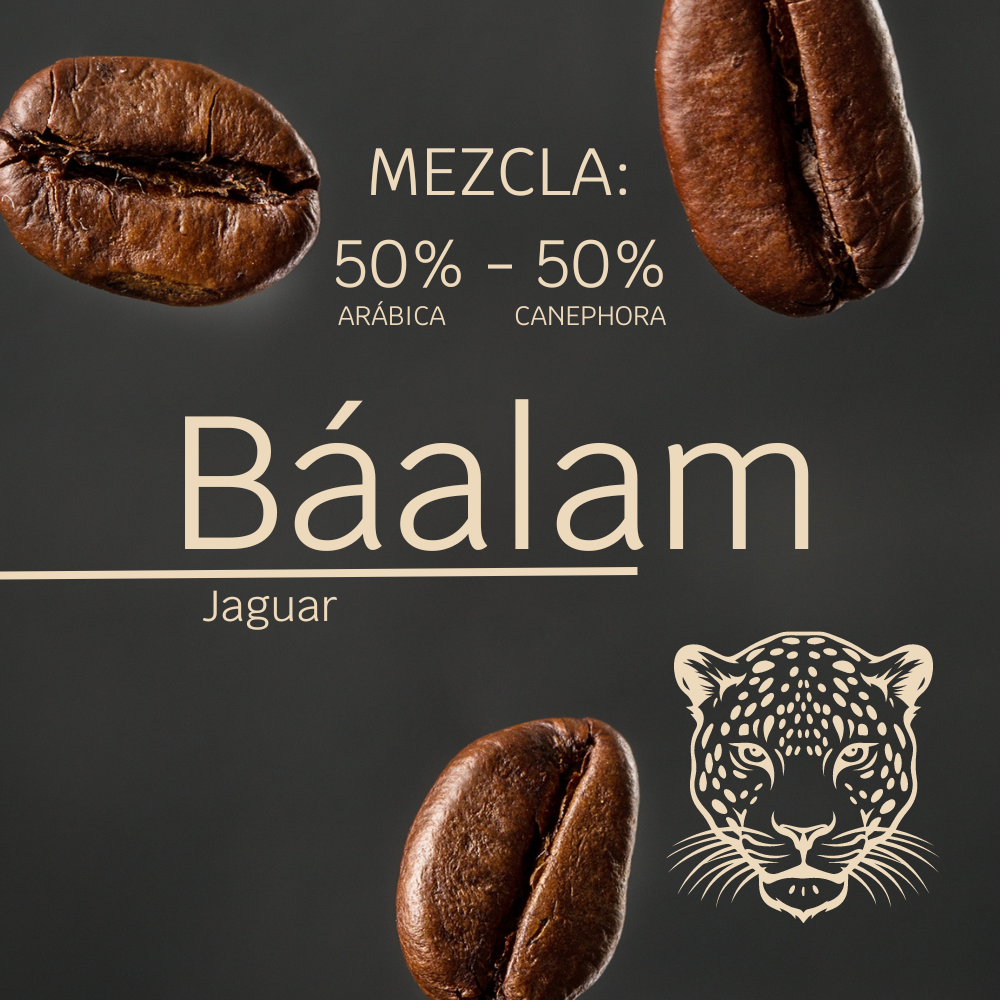 Creación de contenido - Logos