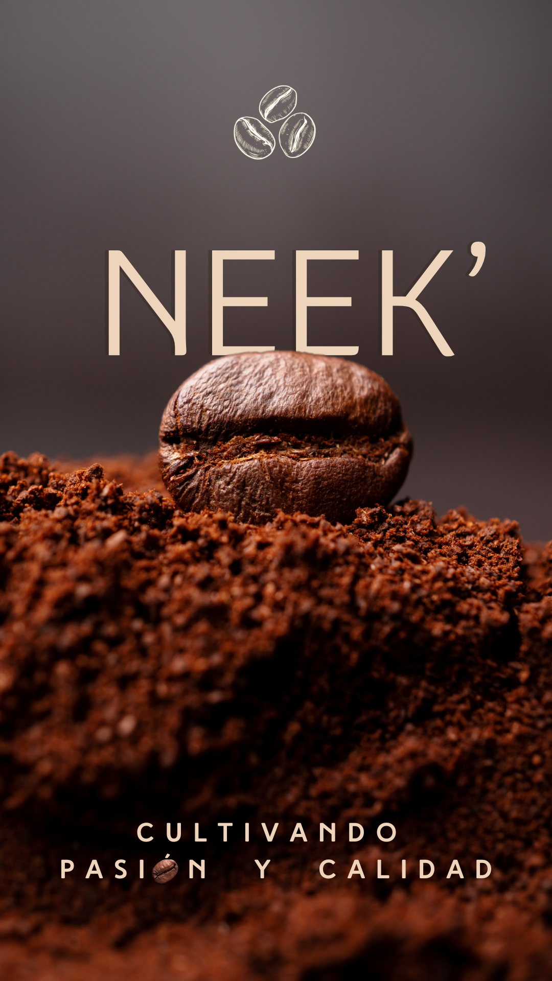 Creación de contenido NEEK'