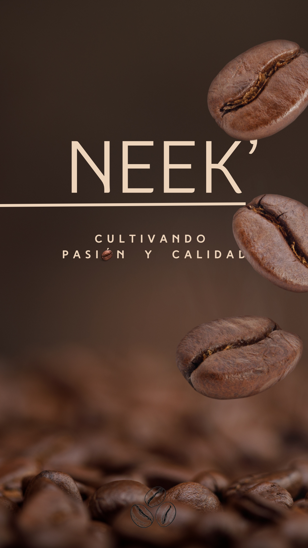 Creación de contenido NEEK'