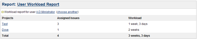 Jira Workload Report Screenshot