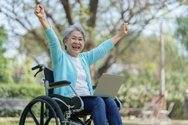 plateforme elevatrice pmr fauteuil roulant