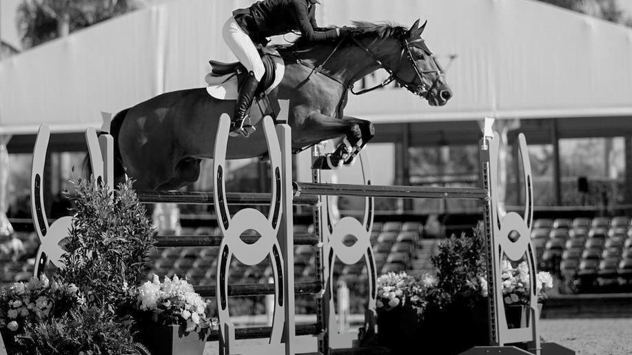 A horse and rider clearing a show jump in an outdoor arena