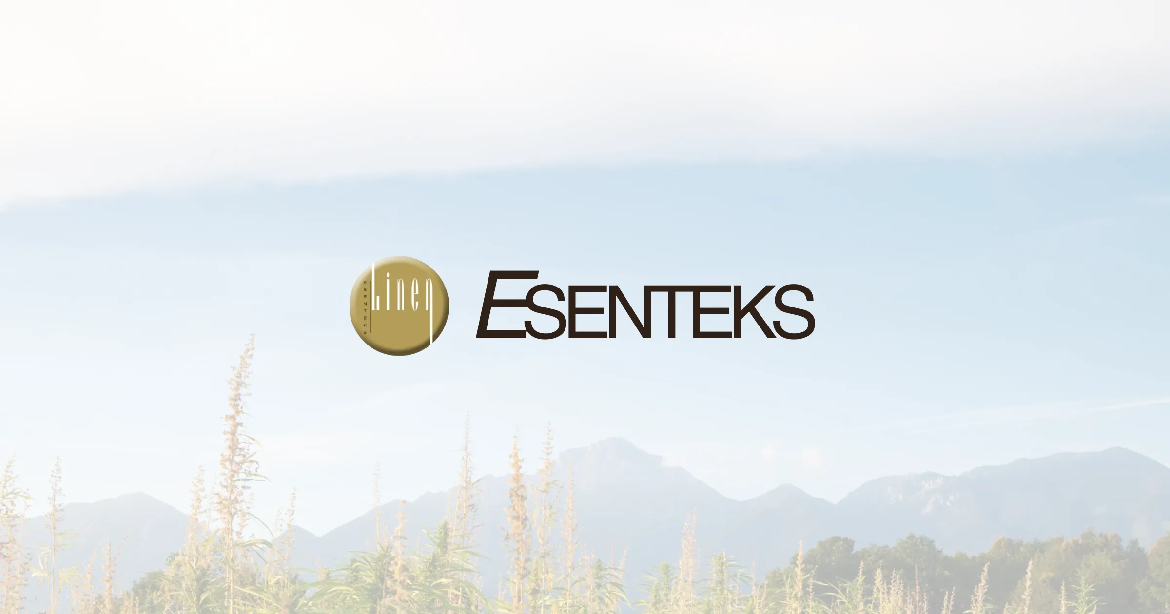 Esenteks — image 8