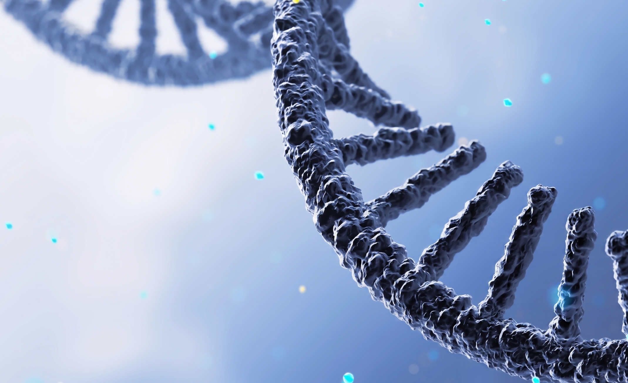 From Code to Life: Global Top 15 in RNA 3D Folding