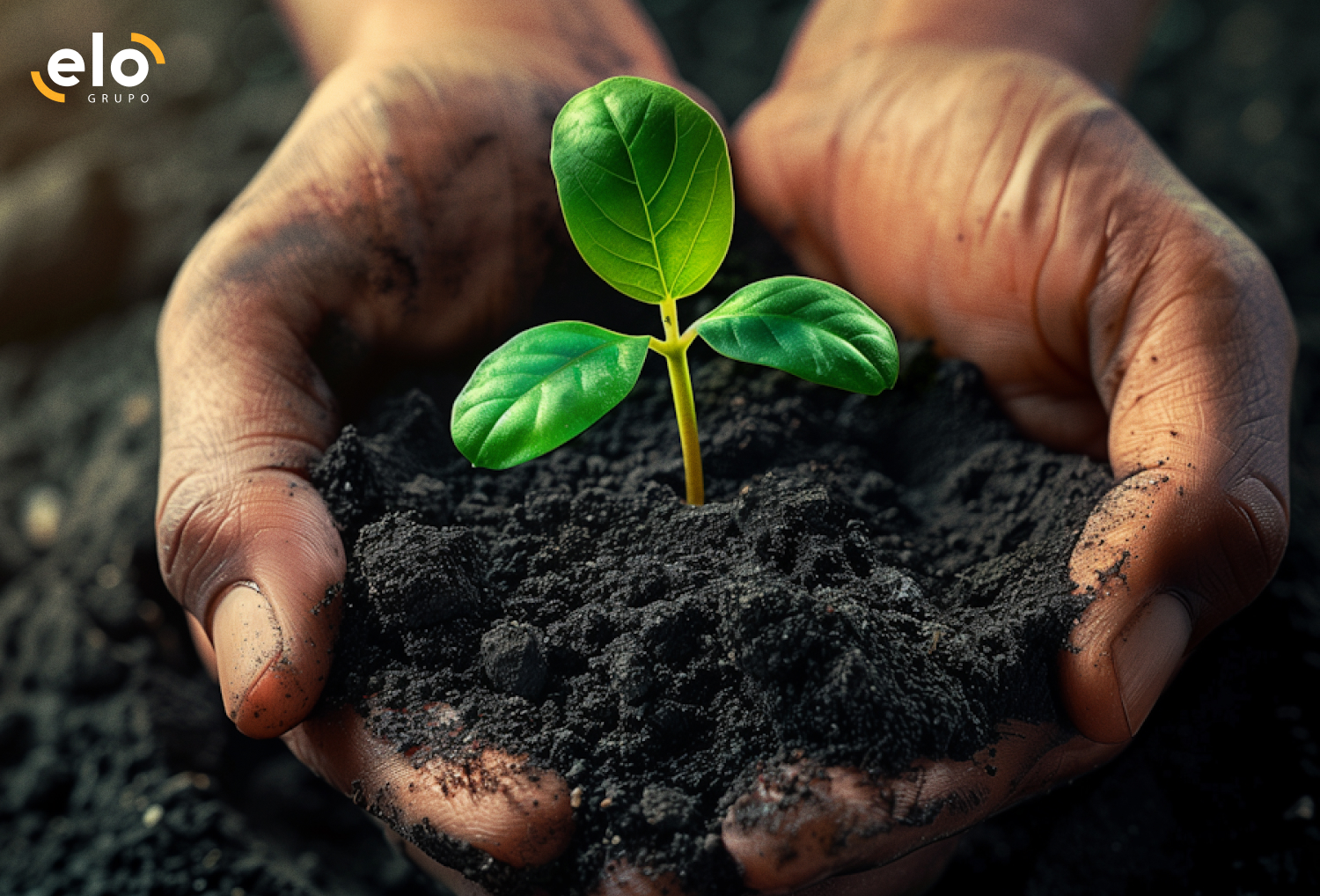 Compromisso com o meio ambiente começa na gestão responsável de resíduos