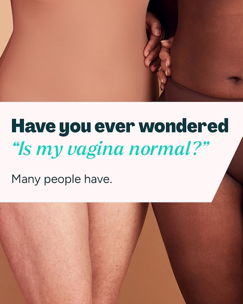 Labia Library Image