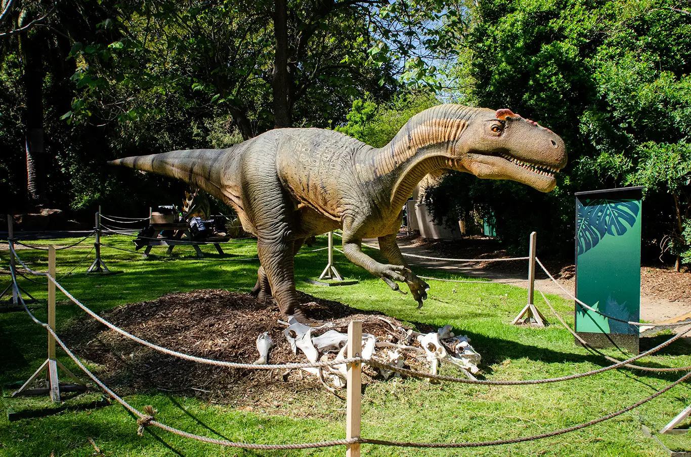 Animatronic dinosaur standing over a pile of mock bones.