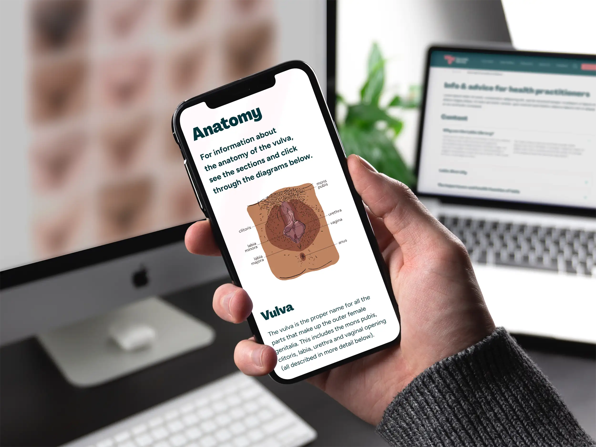 Mobile with anatomy page on screen, an illustrated vaginal diagram on screen.