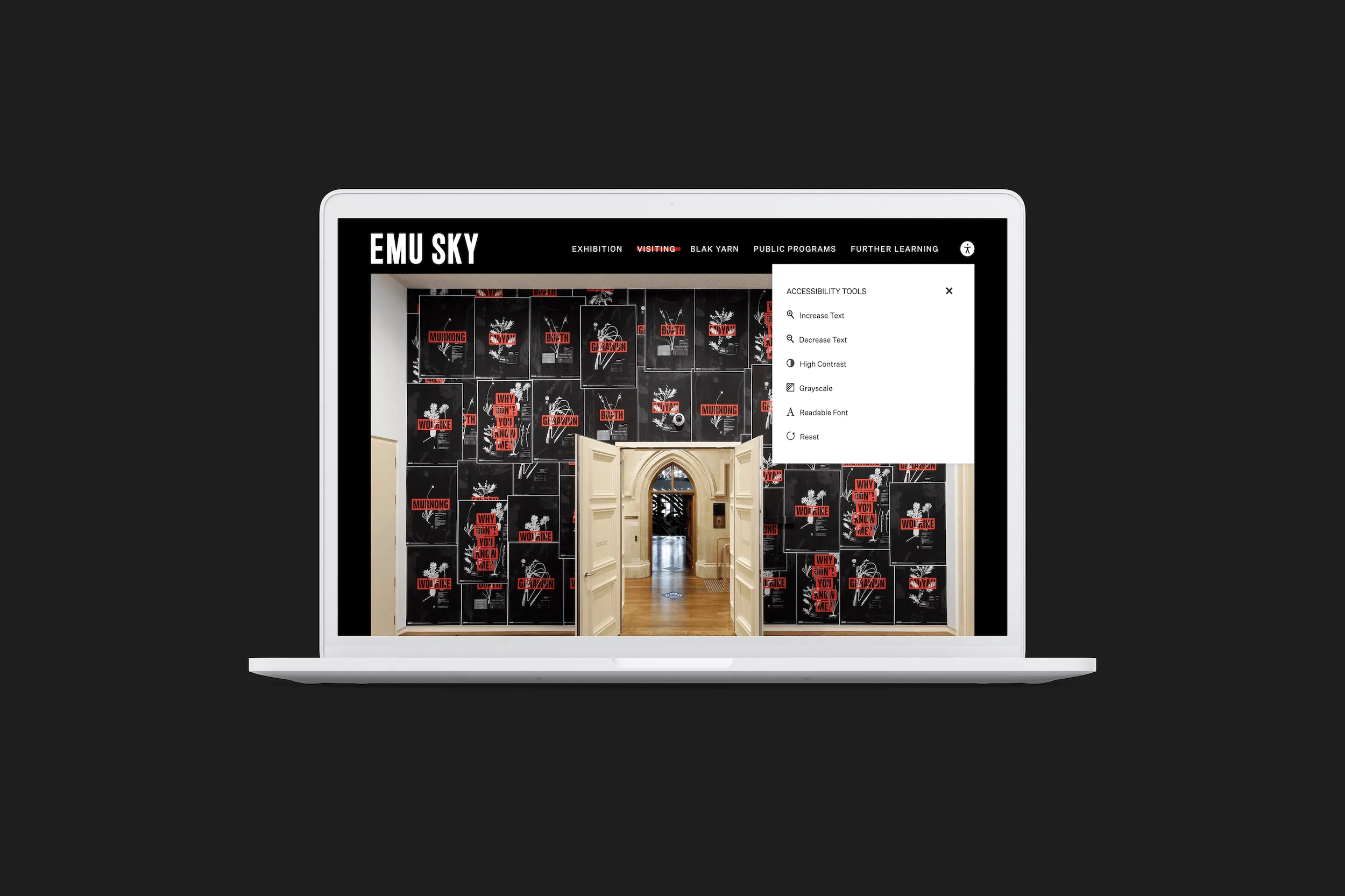 Emu Sky with custom accessibility toolbar options include: increase text, decrease text, high contrast, greyscale, readable font, and reset options. These overlays are now not best practice.