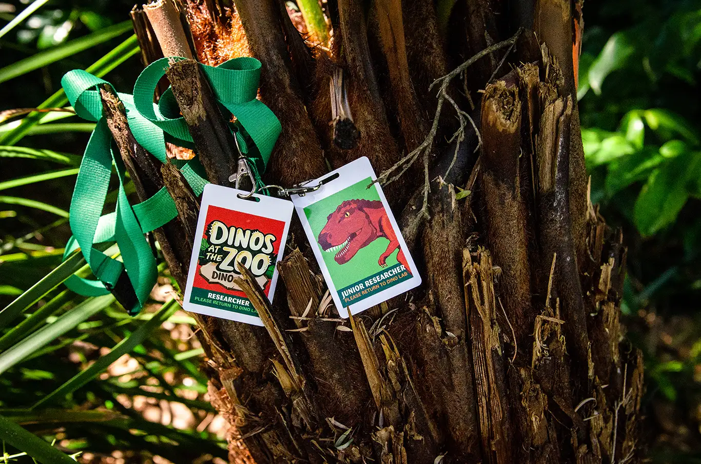 Researcher and Junior Researcher lanyard cards photographed against tree bark.