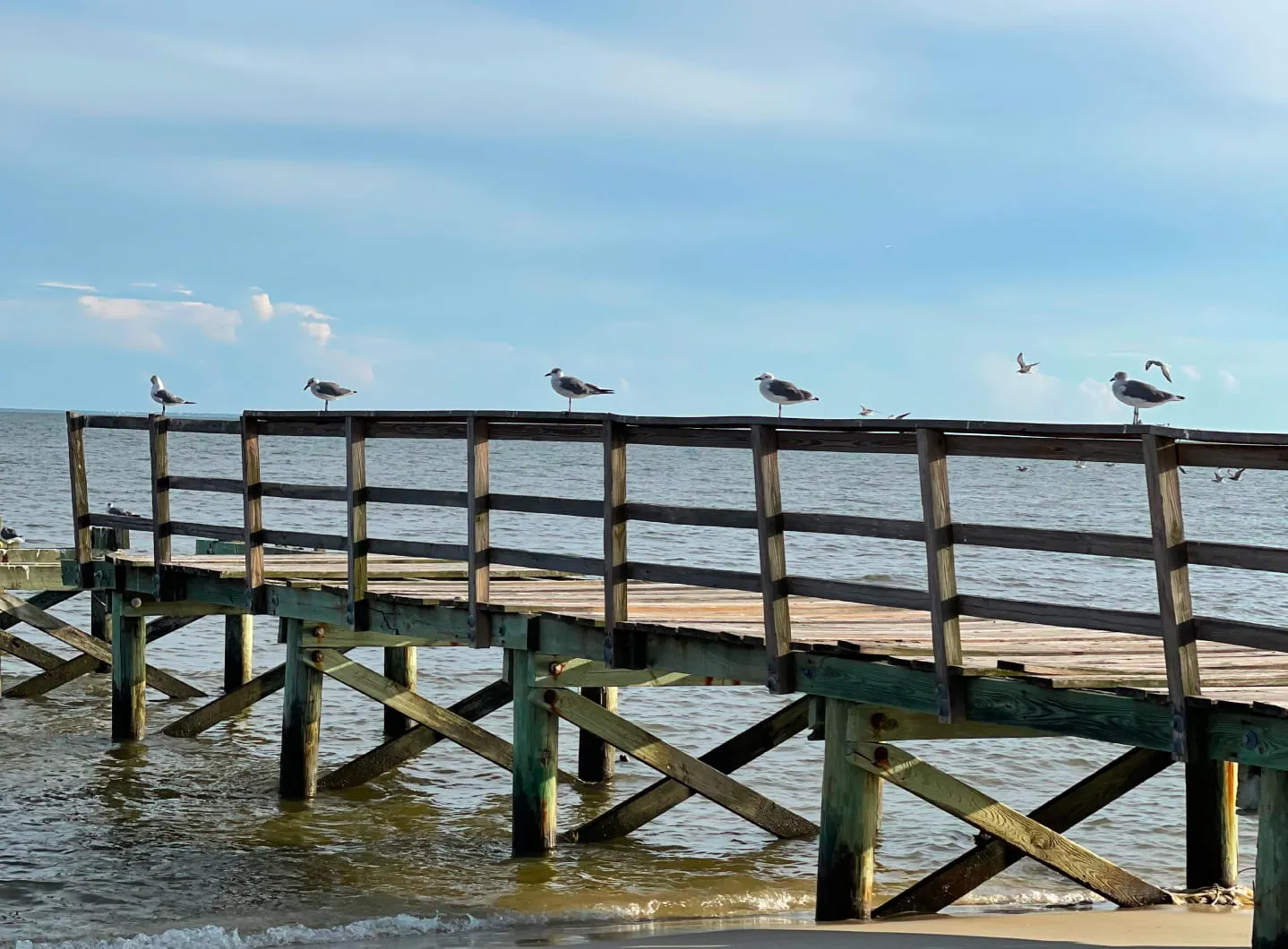 the inn at long beach jetti