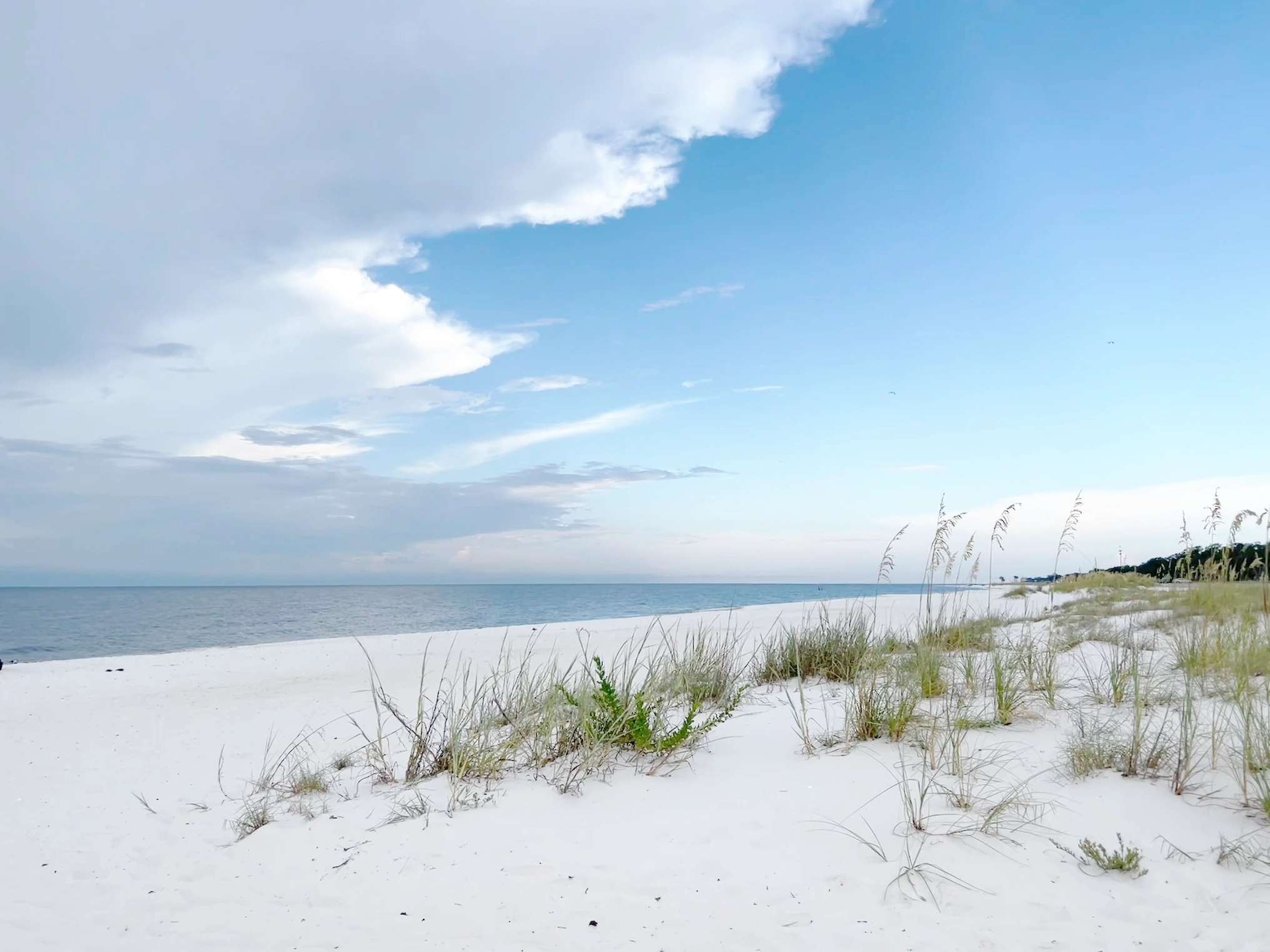 White sandy beach with sparse grass under a blue sky with scattered clouds over calm sea.