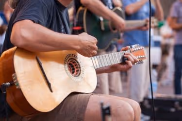 Live Performance - People playing guitar