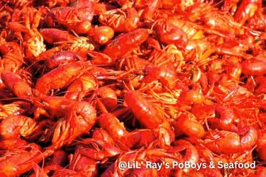 LiL' Ray's PoBoys & Seafood Crawfish