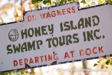 Honey Island Swamp Tours