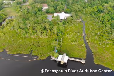 Pascagoula River Audubon Center