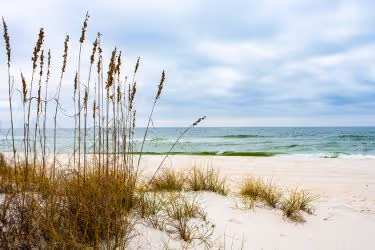 Gulf Islands National Seashore Beach