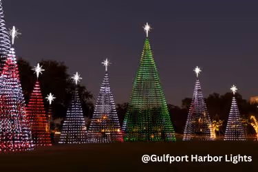 Christmas lights shaped as Christmas trees