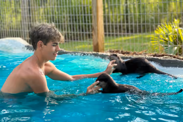 Teenager playing with otters