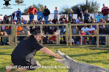 gulf coast gator and ranch tours
